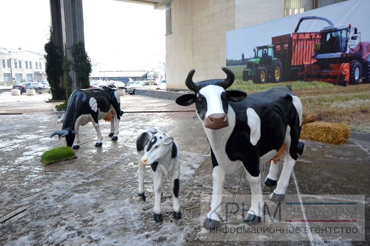 "Губернатор" Крыма стал поводом для насмешек в сети