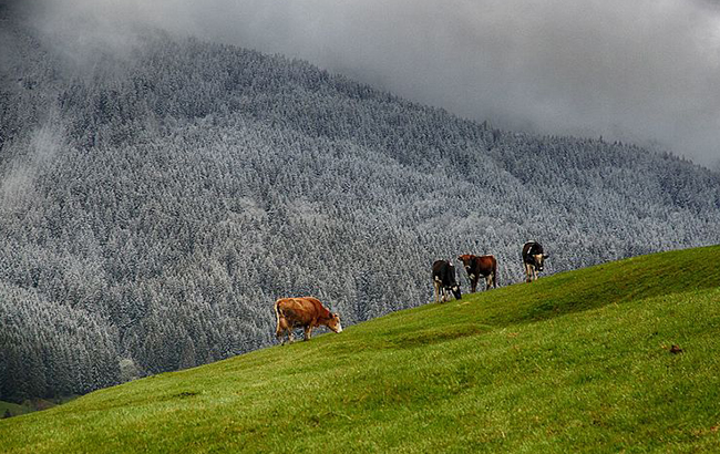 &quot;Холодный атмосферный фронт&quot;: синоптик предупредила украинцев о похолодании