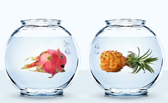 Девушка создает потрясающие картины, "оживляя" продукты питания