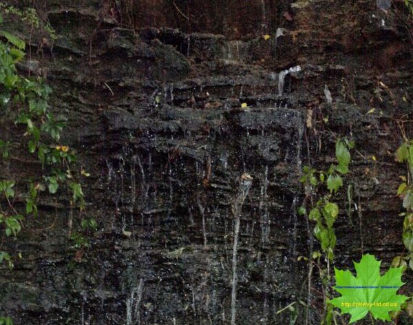 Строительство элитной высотки вызвало оползень на пляже в Одессе