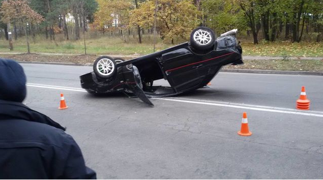 Белка стала виновницей ДТП в Киеве