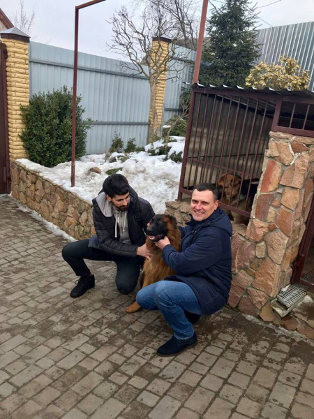 "На одну щасливу людину стало більше": мережу зворушила історія про вкрадене цуценя (фото)