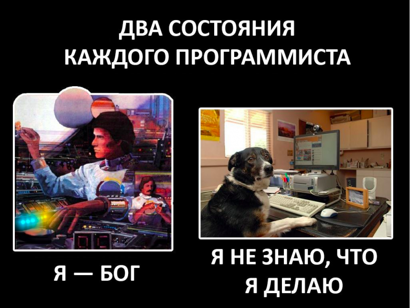 День программиста: как оригинально поздравить коллегу