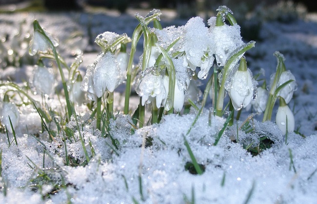 Сретение Господне считается границей между зимой и весной