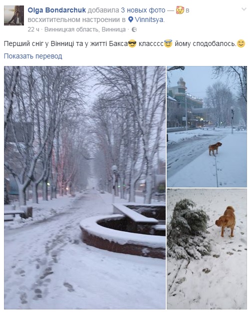 Снегопад в Виннице