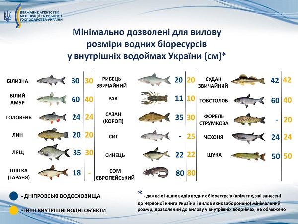 Запрет на рыбалку в Украине в 2024 году: когда нельзя "тихо охотиться"