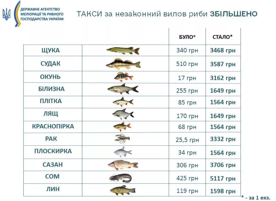 Заборона на вилов. Що зміниться для рибалок з 1 квітня
