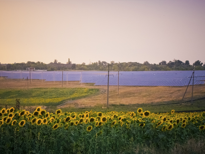 Российские оккупанты украли самую большую солнечную электростанцию в Украине
