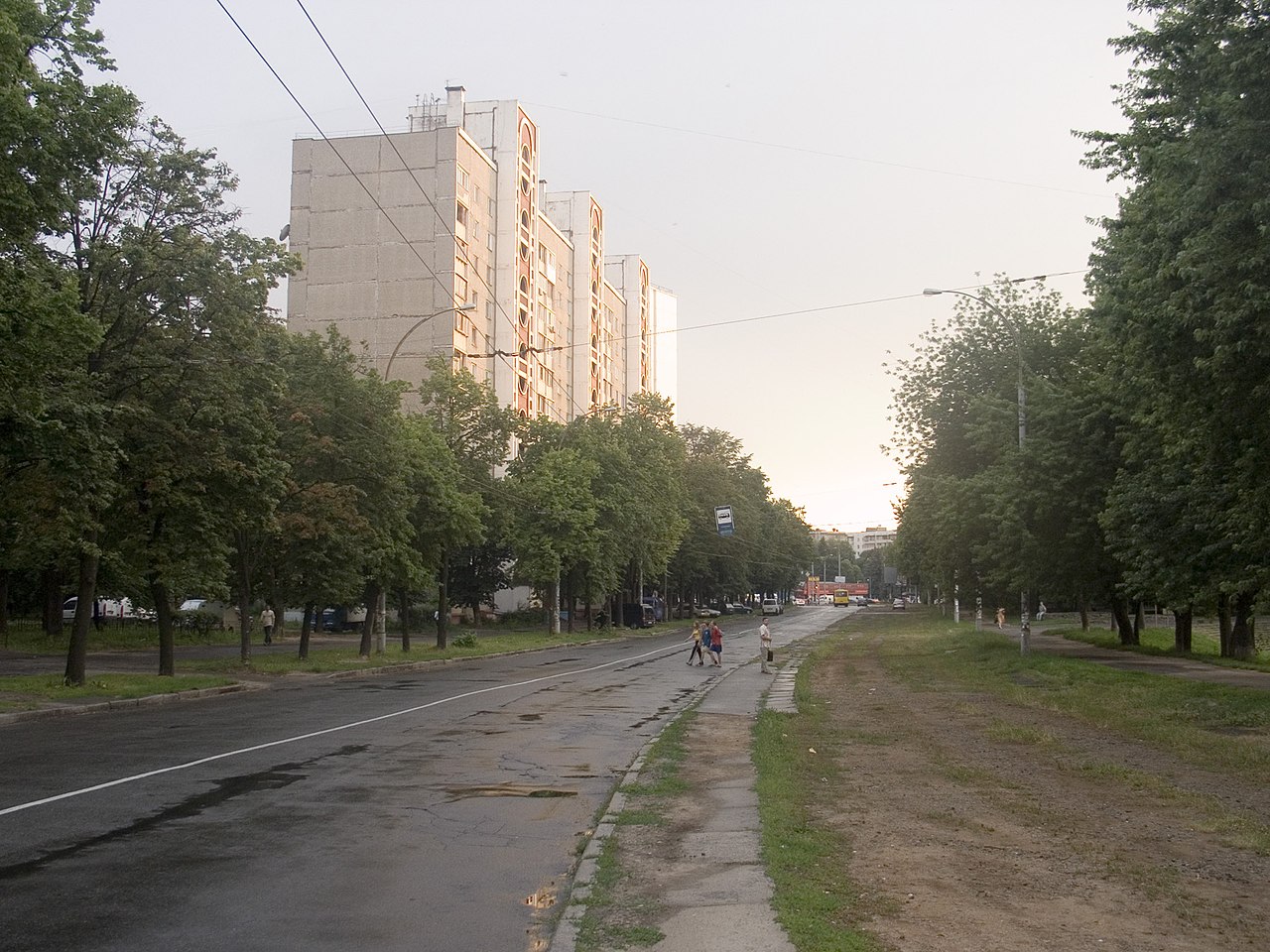 В Киеве наконец-то появилась улица Романа Ратушного: что переименовали