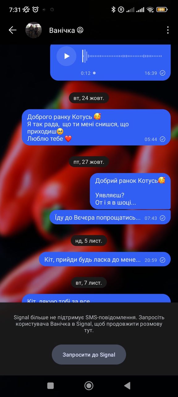 Вдовы украинских военных показывают последние переписки с любимыми: душераздирающие фото