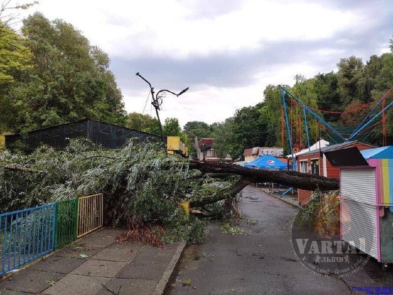 Львов снова накрыло ураганом: поваленные деревья и отключена электрика