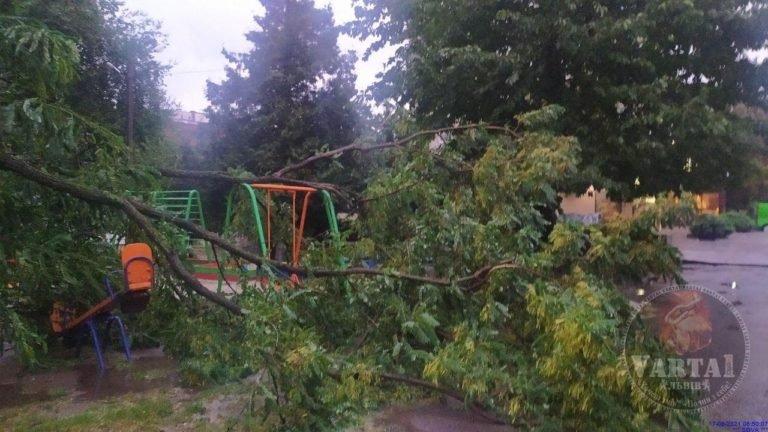 Львов снова накрыло ураганом: поваленные деревья и отключена электрика