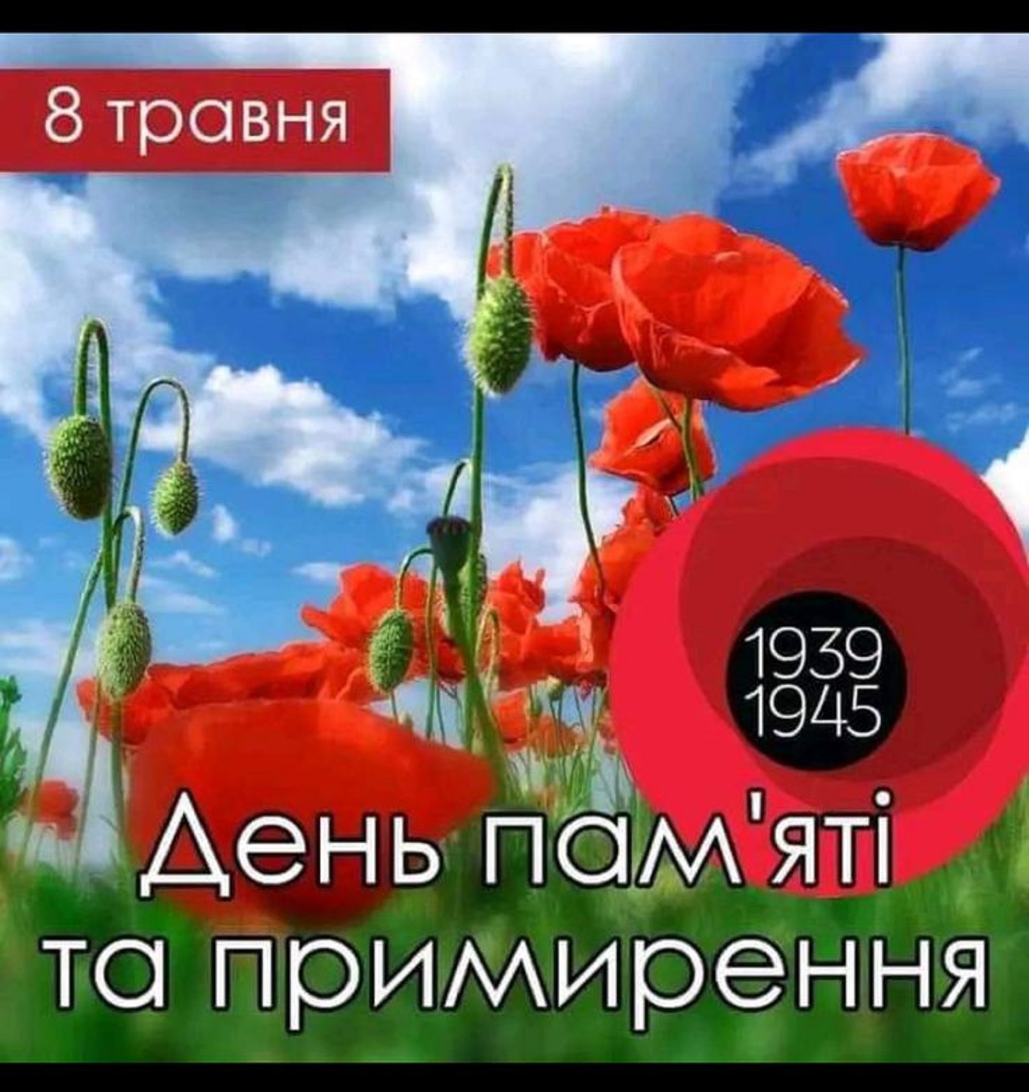 С Днем памяти и примирения: теплые поздравления своими словами и в открытках