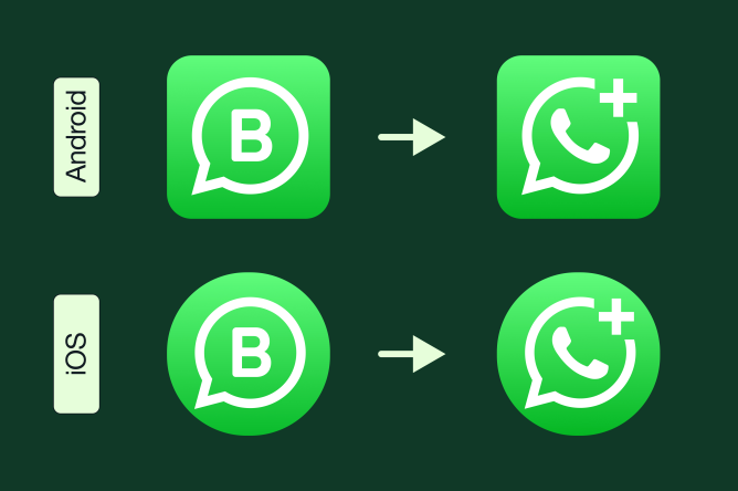WhatsApp готовит важное обновление, которое затронет всех: что ждет пользователей