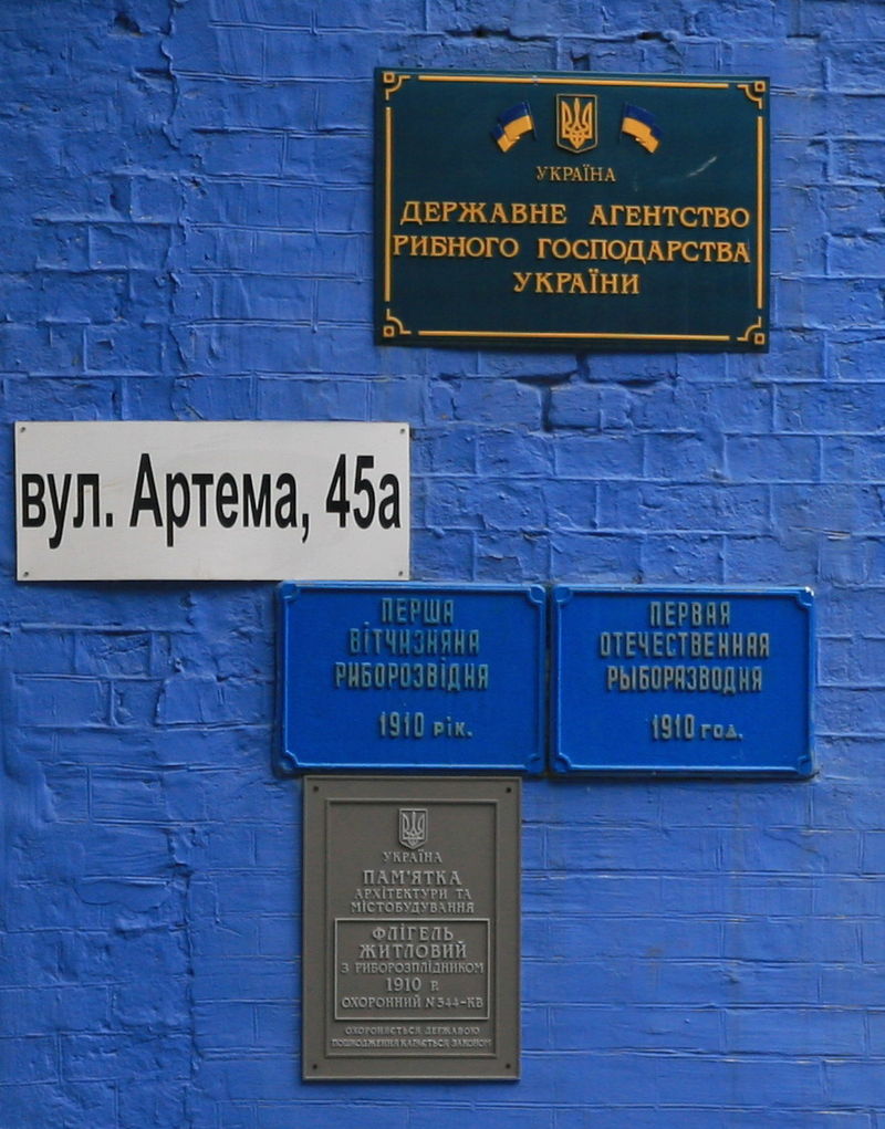 "Секретна" синя садиба у центрі Києва. Вона тут з 1910 року, але ви її навряд чи бачили