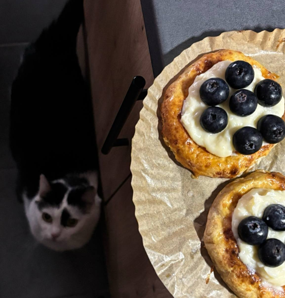 Сырные ватрушки с заварным кремом и свежей голубизной, которые я приготовила дома (фото: Юлия Люшнева)