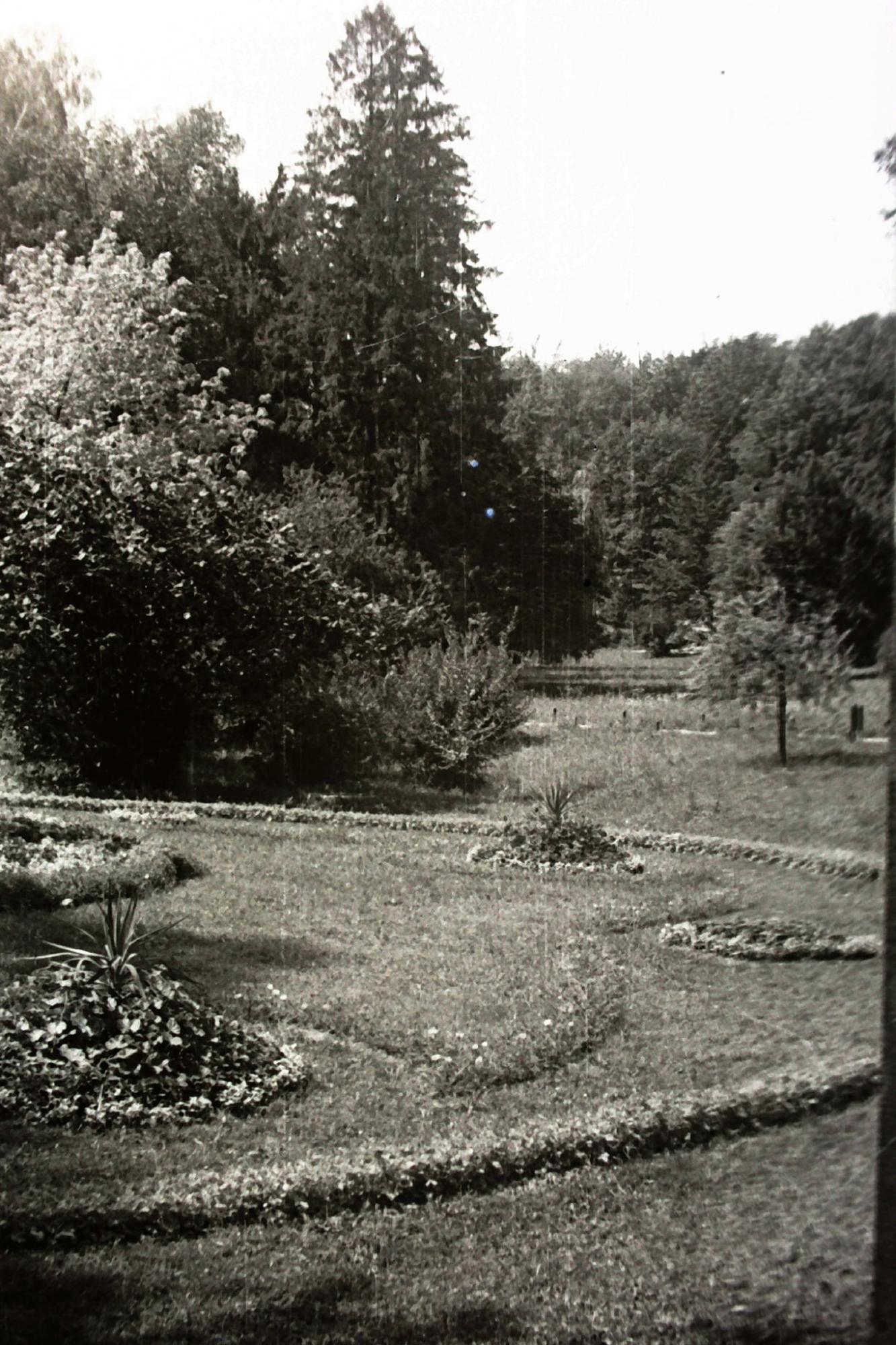 Як виглядав Львів у 1940-1950 роках: унікальні ретро-фото
