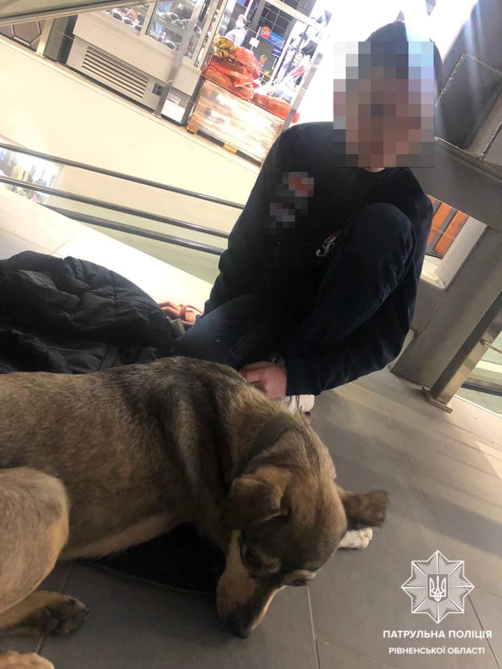 У Рівному хлопчик відмовився повернутися додому без знайденої собаки: віддав тварині кофту (фото)