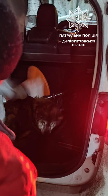 Українські поліцейські врятували собаку: який вчинок допоміг тварині (фото)