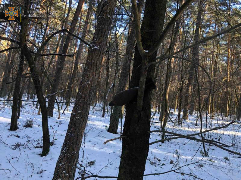 Под Львовом на дереве обнаружили почти 80-летнюю мину: "удивительная находка" (фото)