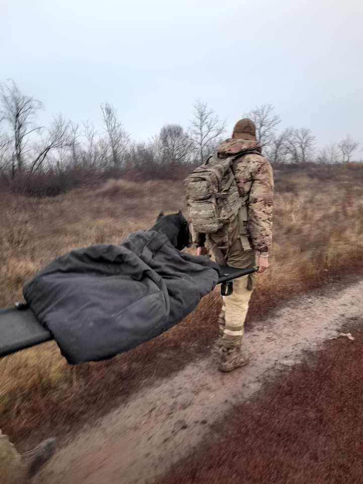 Український пес-розвідник Вася на фронті вирвався з полону окупантів. Відгриз собі лапу (фото)