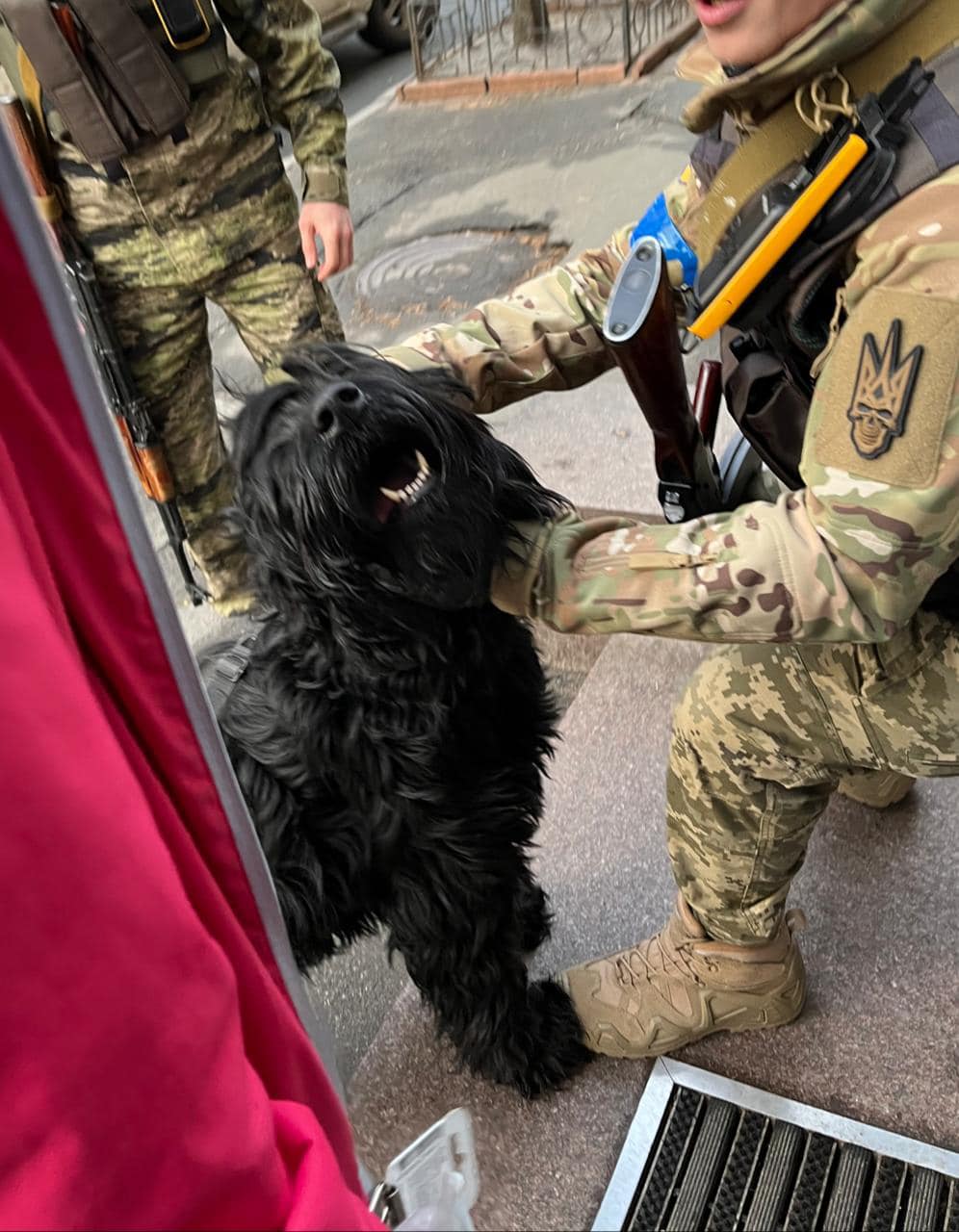 Неймовірна історія собаки з Ірпеня, фото якої облетіло весь світ
