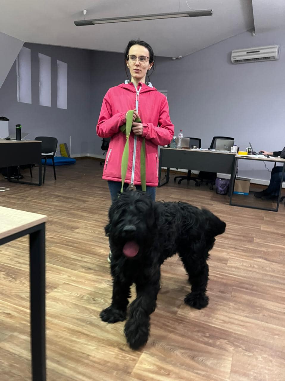 Неймовірна історія собаки з Ірпеня, фото якої облетіло весь світ
