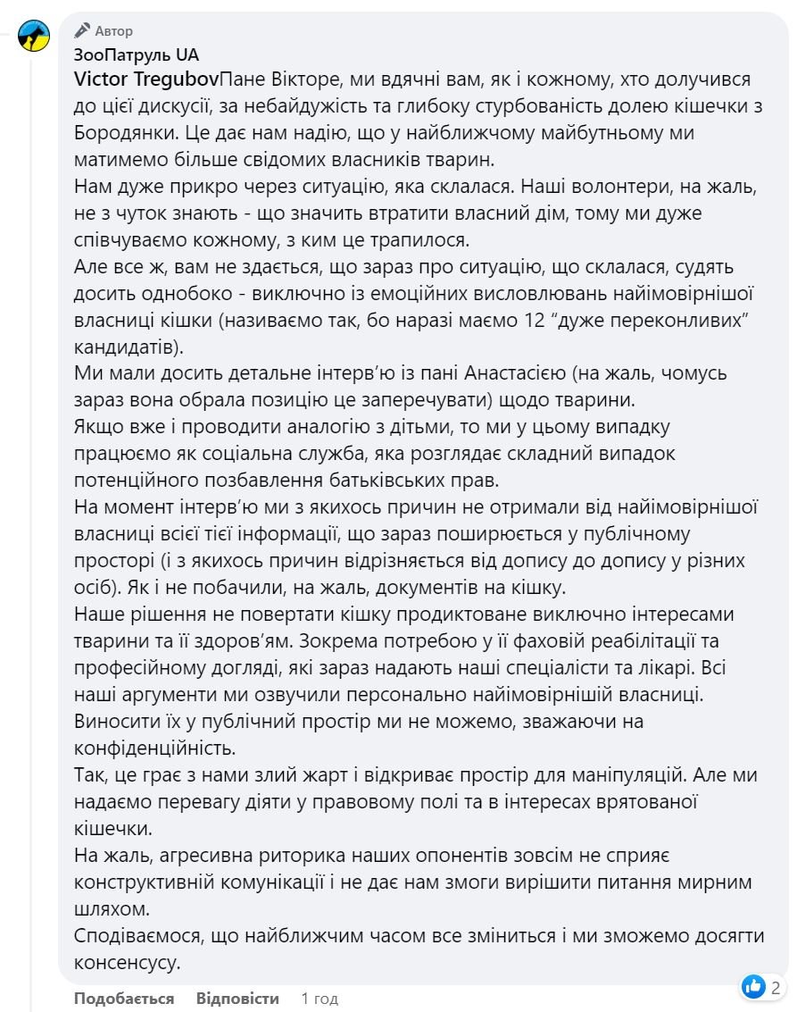 Ставшую знаменитой кошку из Бородянки не отдают хозяйке: детали скандала