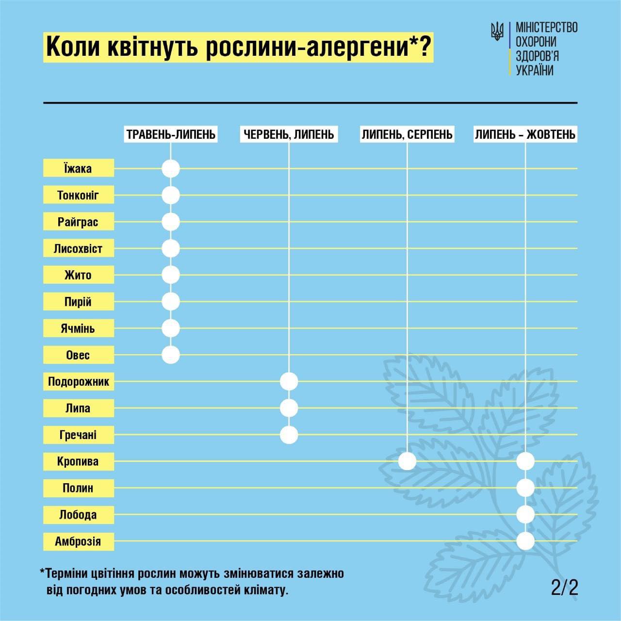 Як полегшити сезонну алергію, якщо поруч немає  лікаря