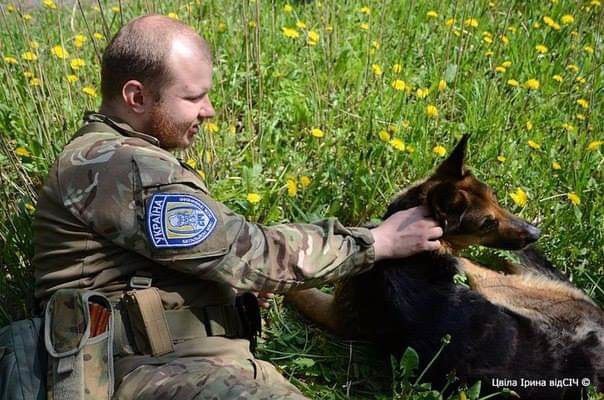 В ее уставших глазах угасала жизнь: ВСУ спасли овчарку, которую оккупанты разрисовали краской