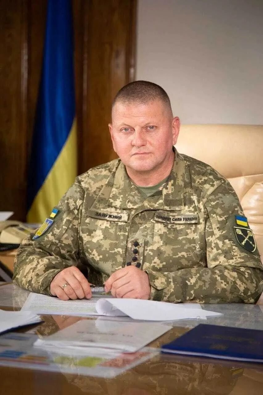 Как Залужный стал главнокомандующим ВСУ: путь от солдата к генералу