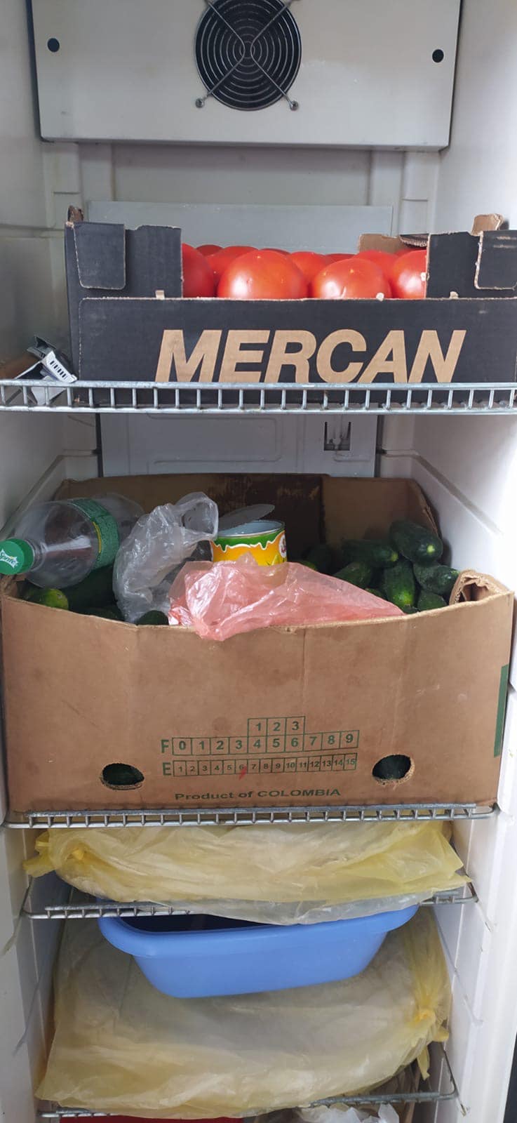 У Києві масово перевіряють фаст-фуди: небезпечний для здоров'я кожен третій