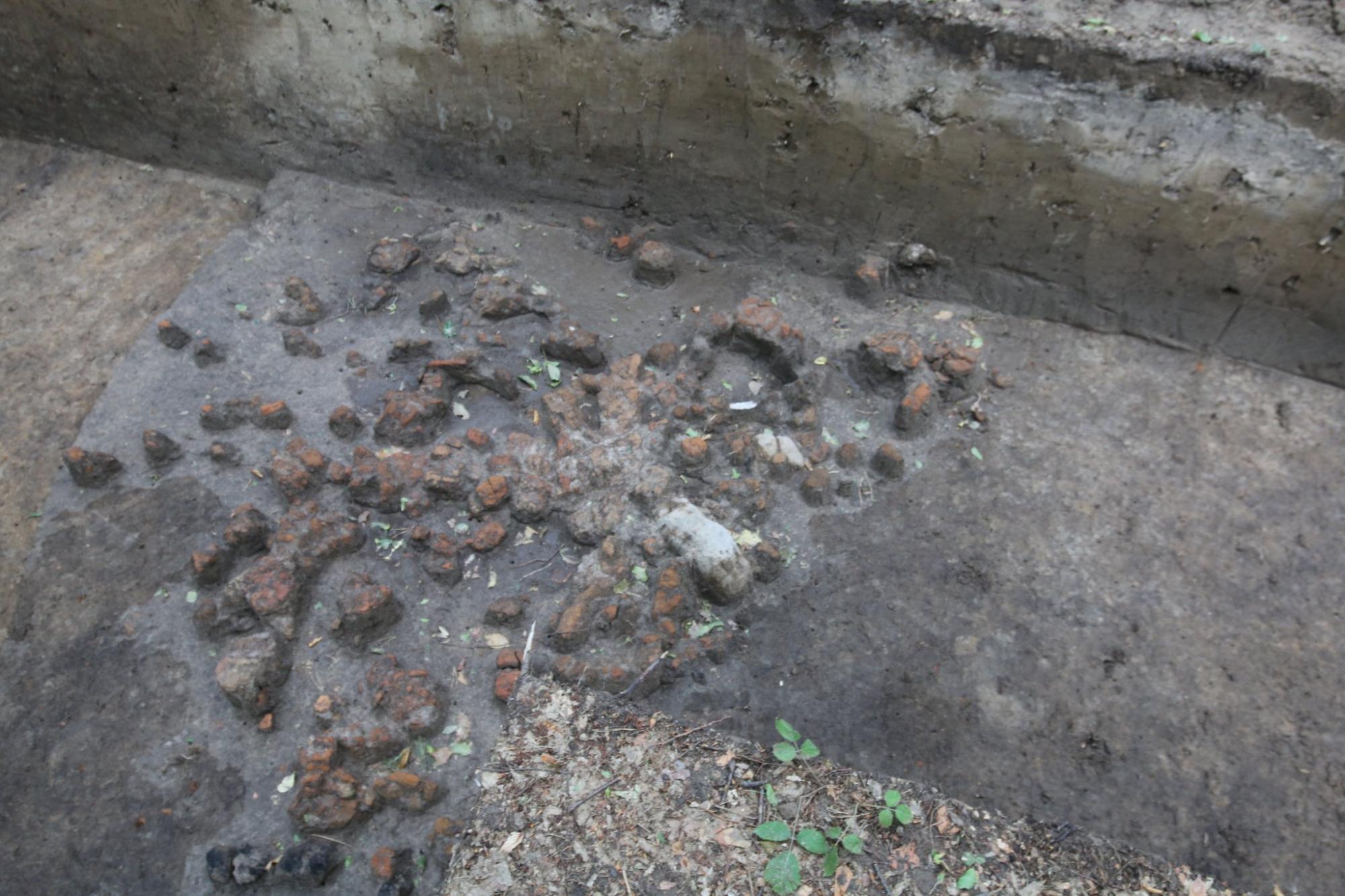 Возле Львова обнаружили остатки оборонного сооружения, построенного более 3 тысяч лет до нашей эры