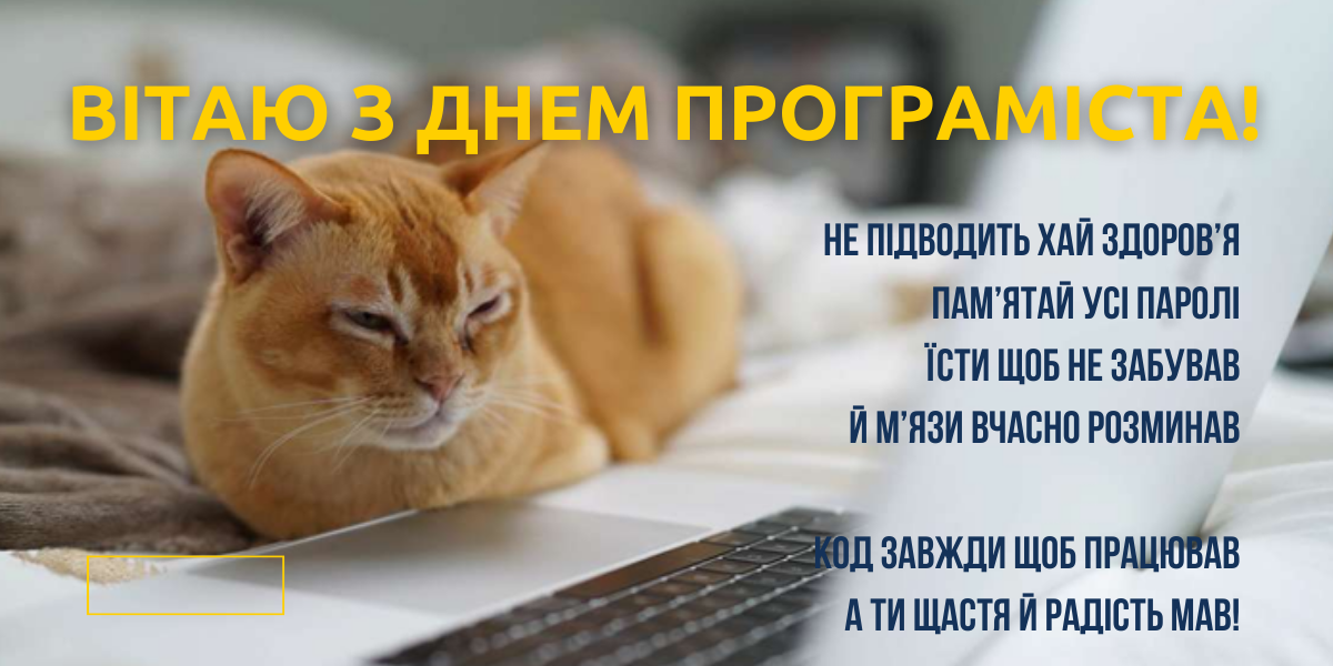 День компьютерщика и программиста 2024: история праздника и поздравления
