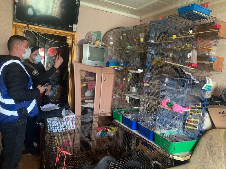 У Києві 5-річну дівчинку тримали під замком з купою собак: по квартирі гасають таргани