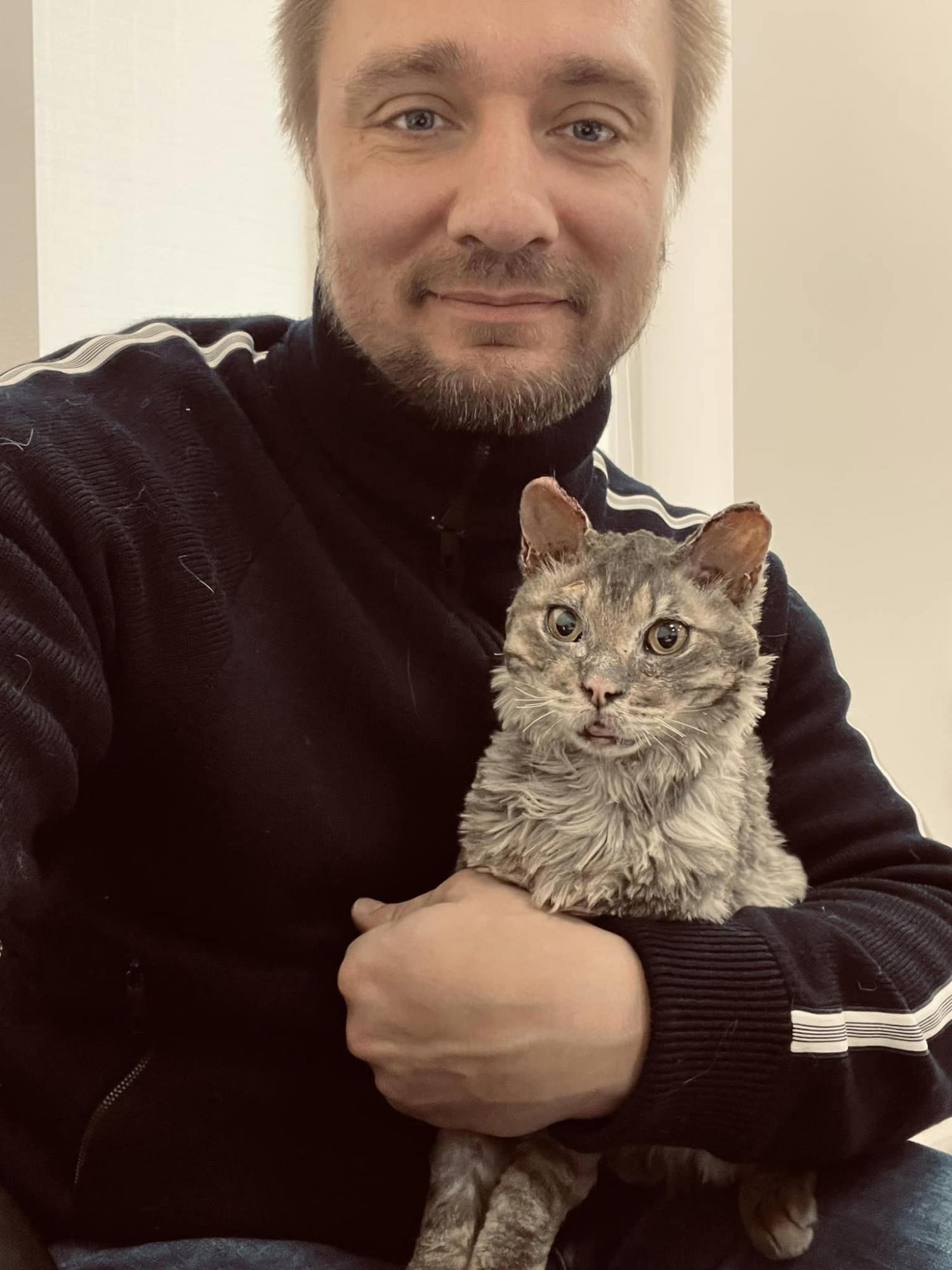 Возродился из пепла: смотрите, как сейчас выглядит кот Феникс из Бучи