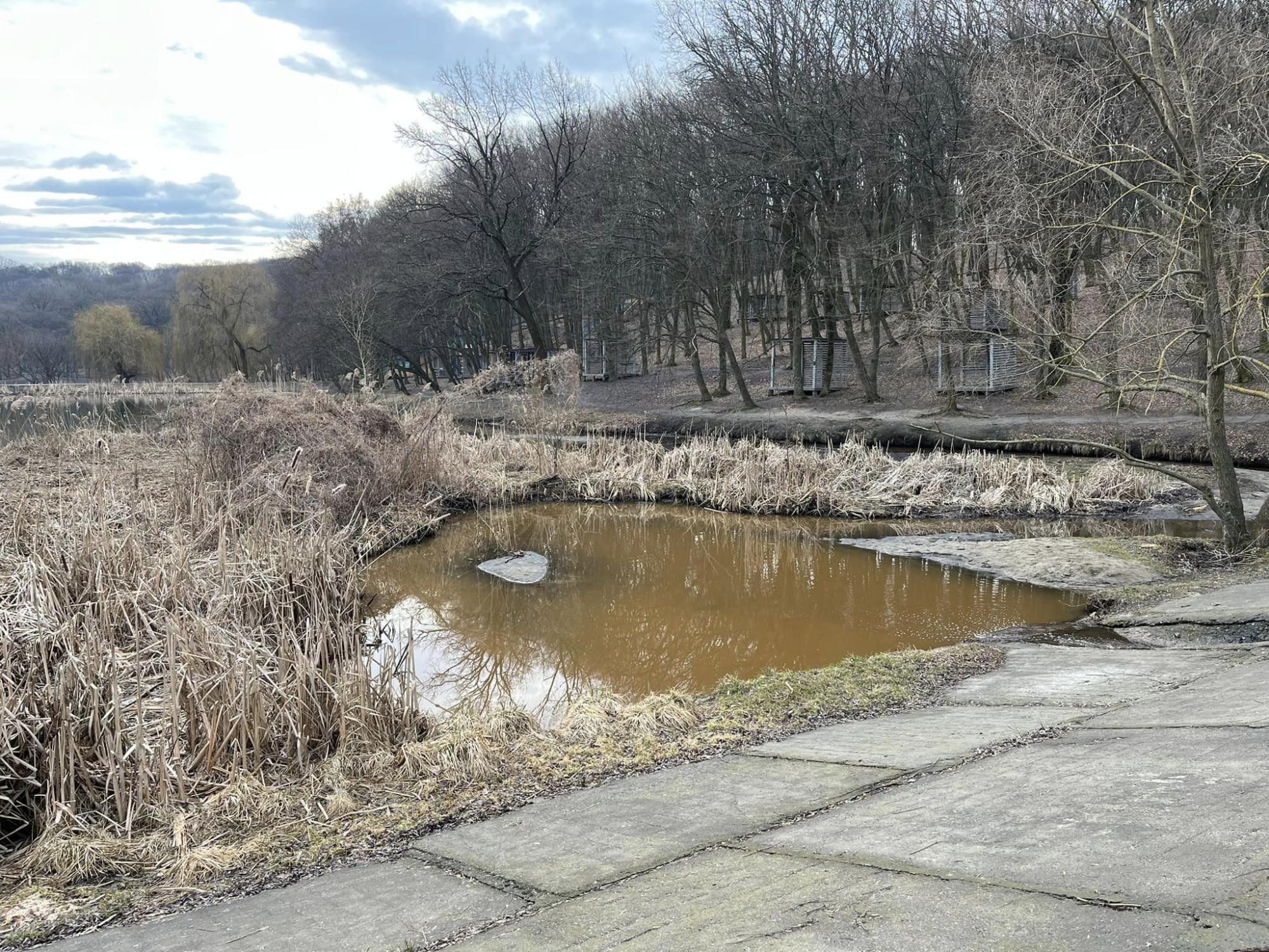 Вода изменила цвет: на одном из озер Киева катастрофическая ситуация (фото)