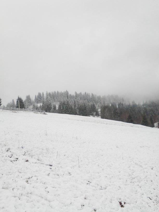 Украинское село засыпало снегом в разгар весны: фото аномального явления