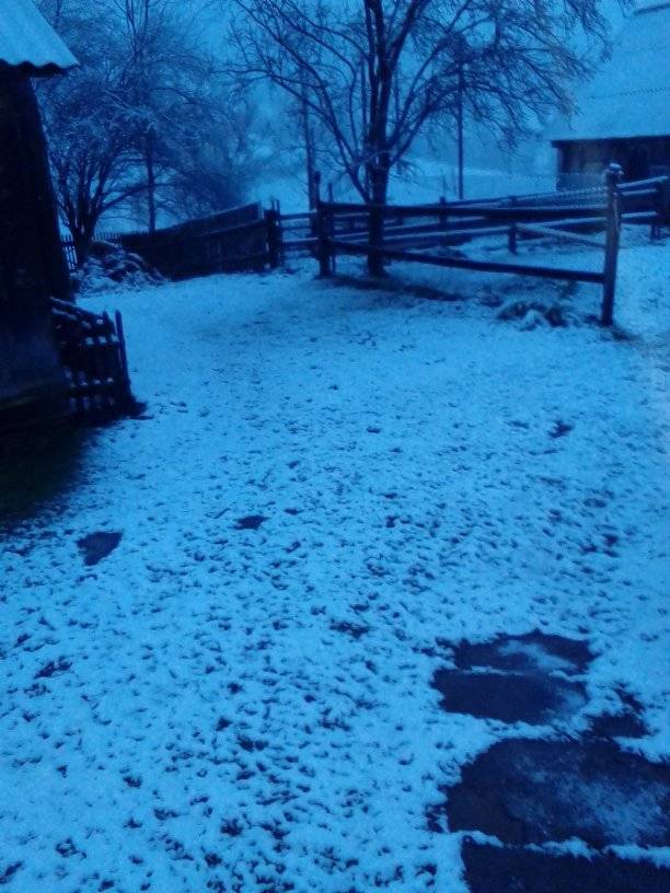 Украинское село засыпало снегом в разгар весны: фото аномального явления