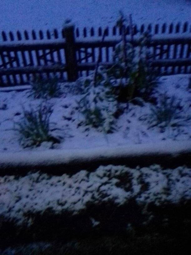 Украинское село засыпало снегом в разгар весны: фото аномального явления