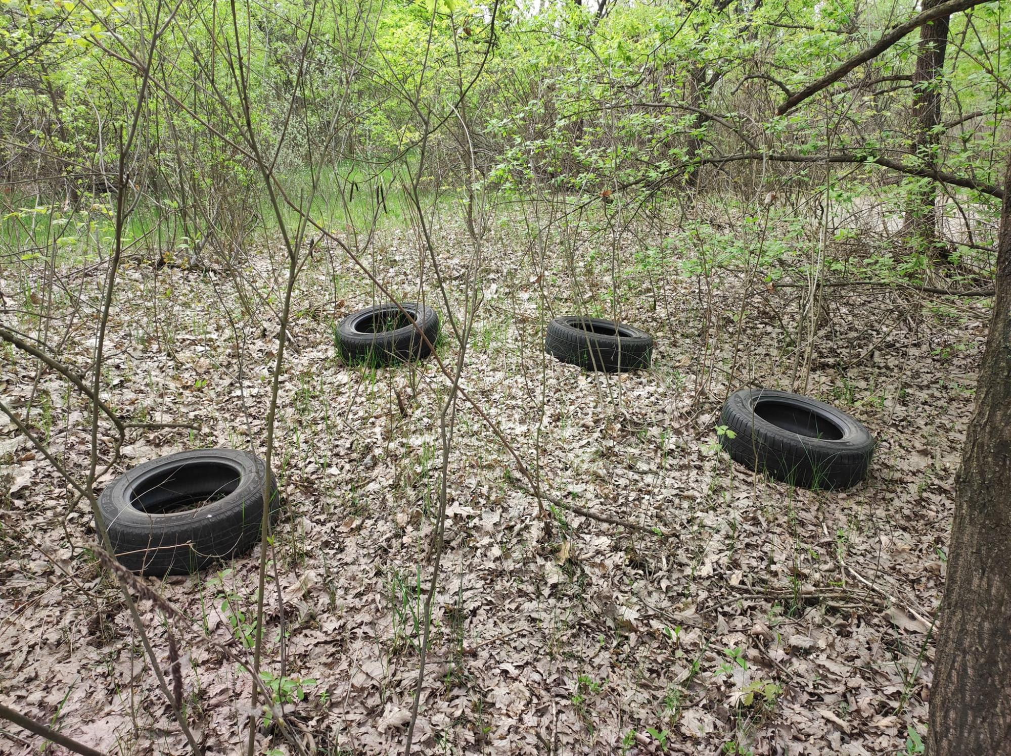 Жуків острів потопає у смітті. Дивіться, на що в Києві перетворили природний заказник (фото)
