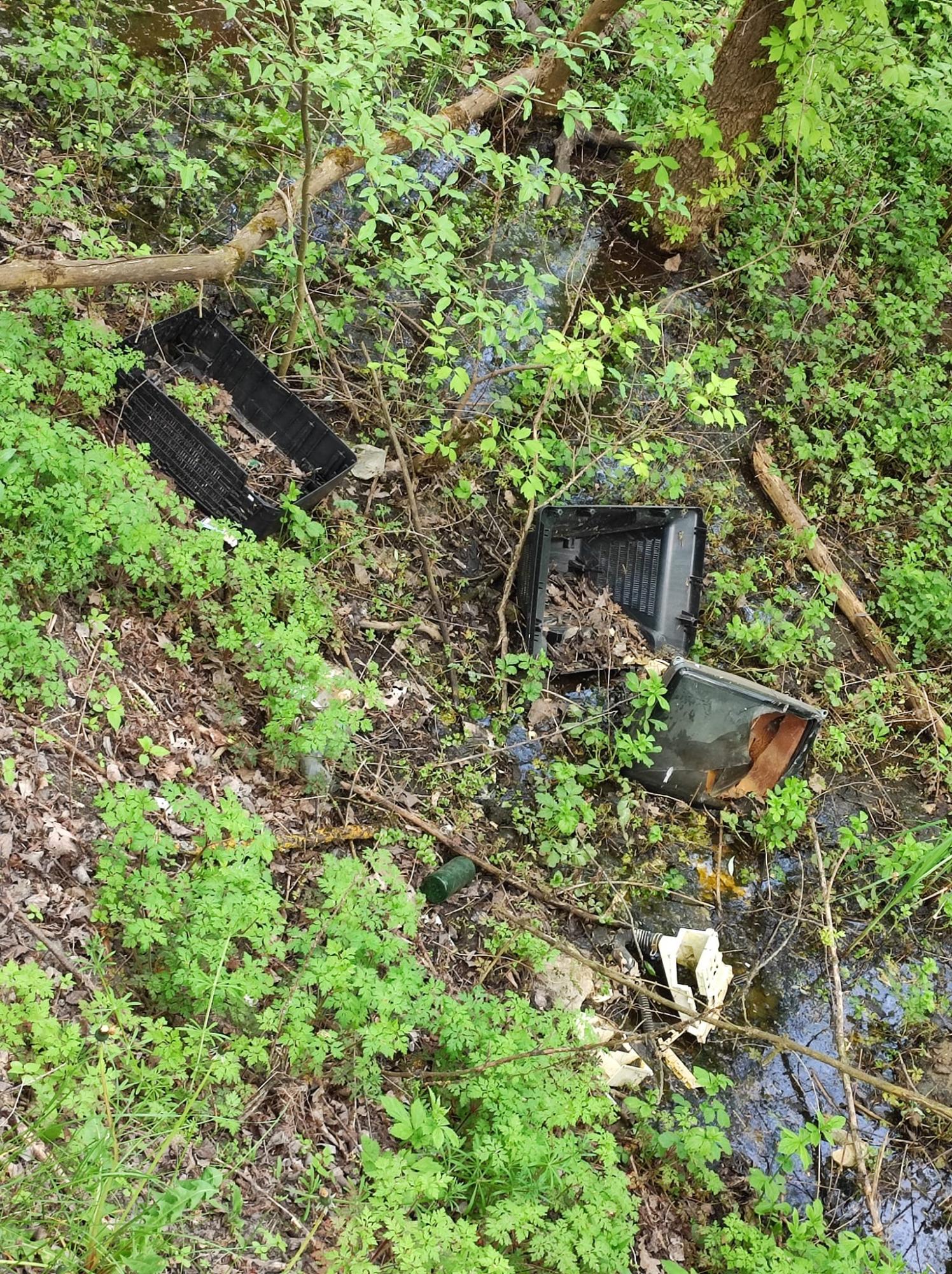 Жуків острів потопає у смітті. Дивіться, на що в Києві перетворили природний заказник (фото)