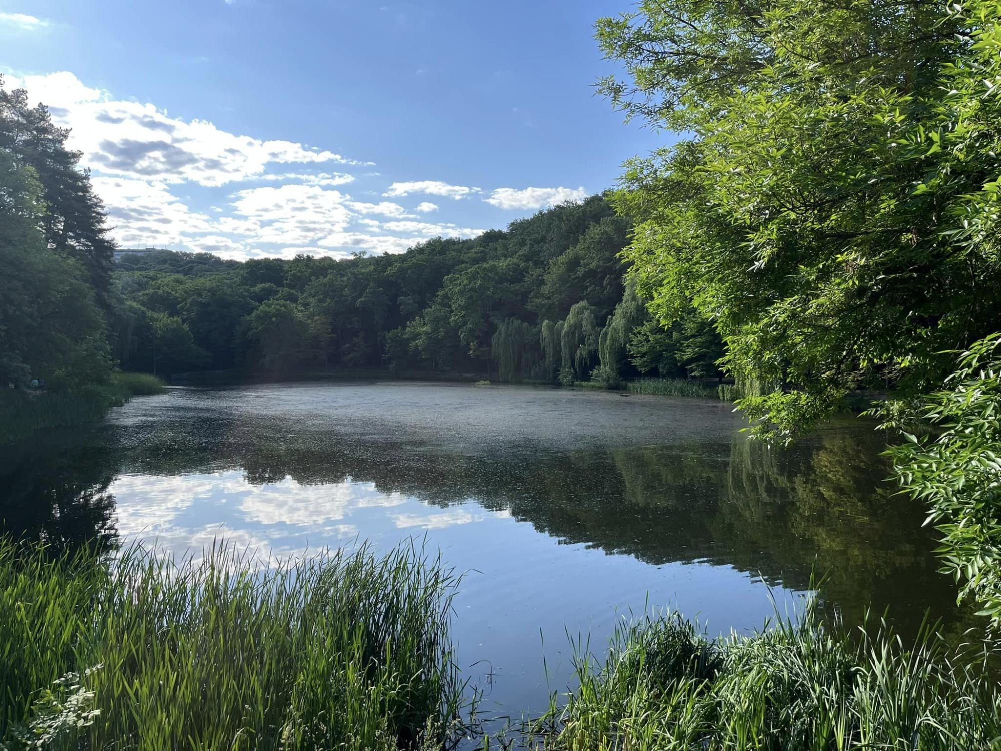 Вода в пузырях, рыба возле берега. В одном из парков Киева - катастрофа с озерами (фото)