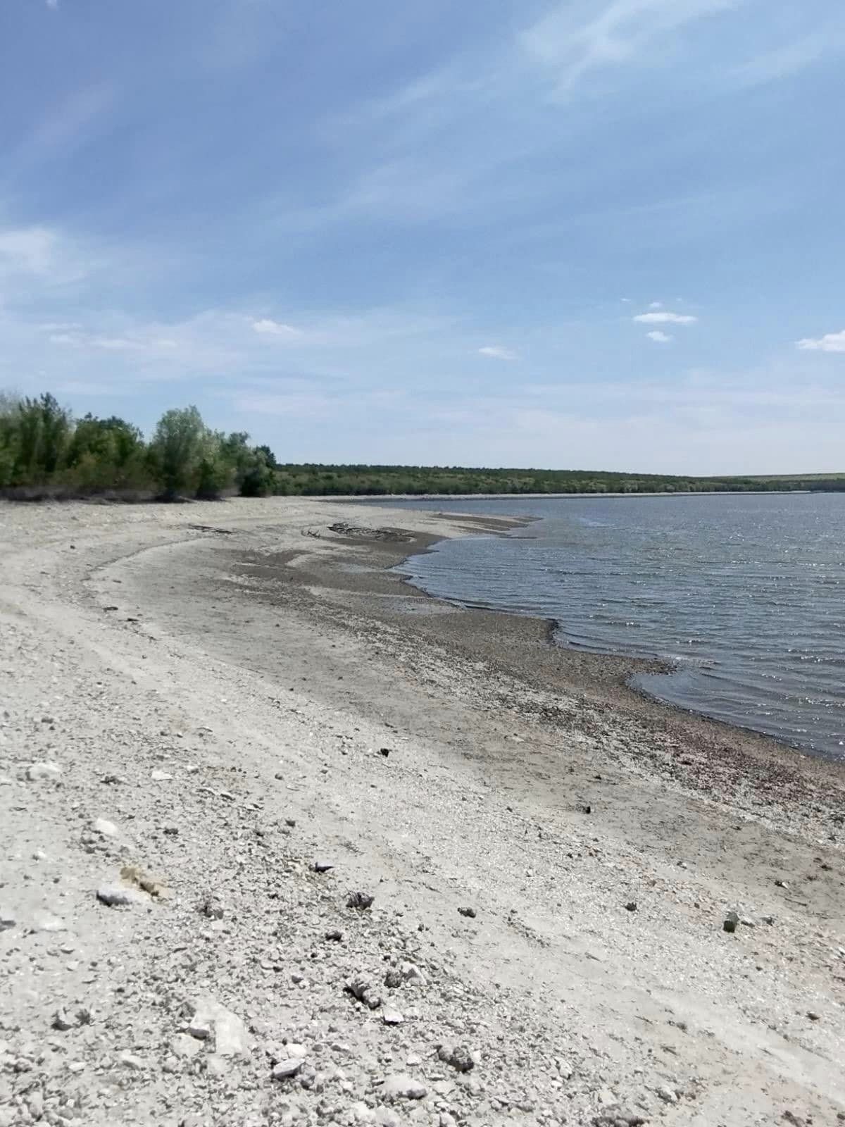 Так умирает природа Каховского водохранилища. В сети показали трагические фото
