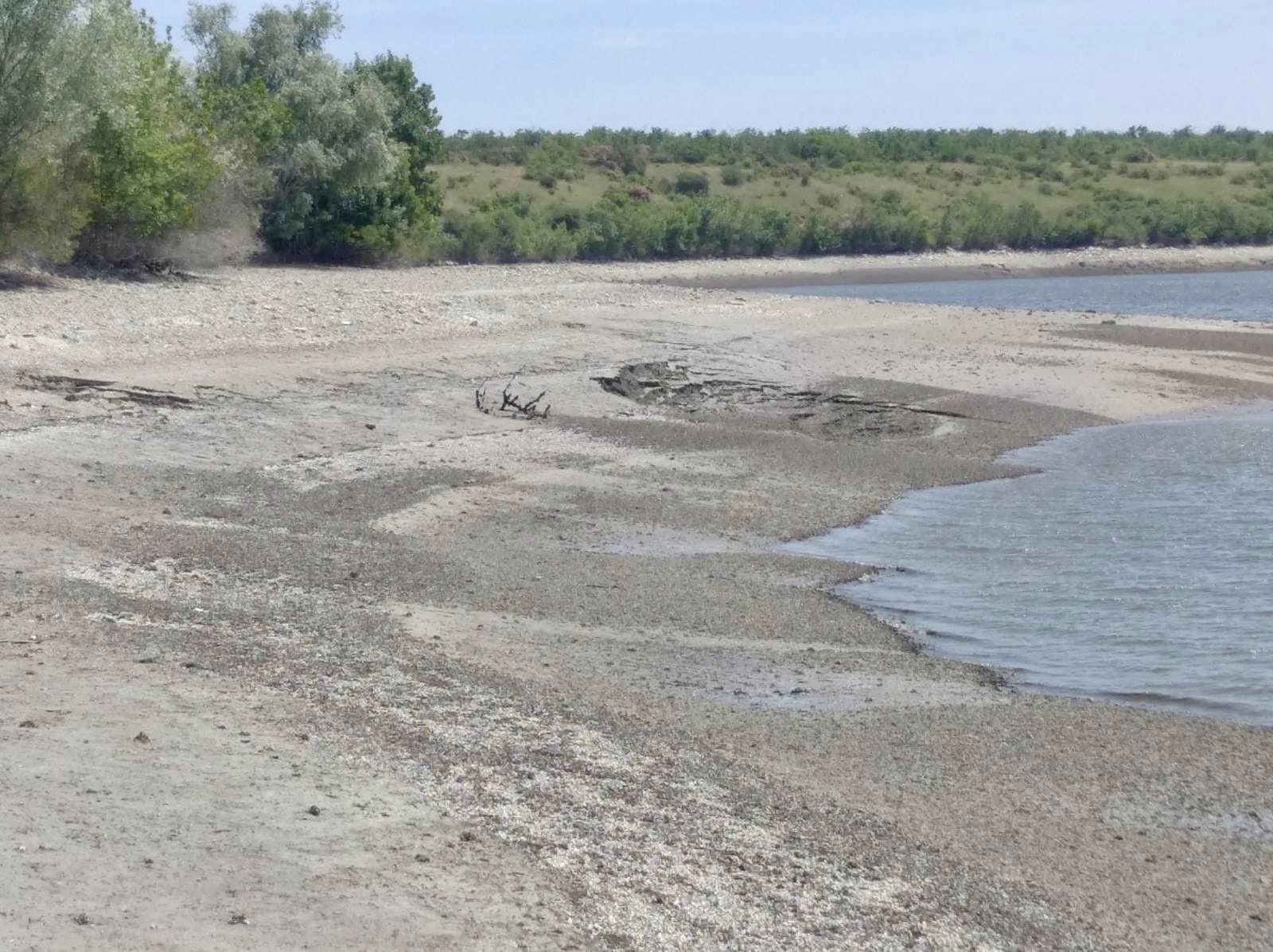 Так умирает природа Каховского водохранилища. В сети показали трагические фото