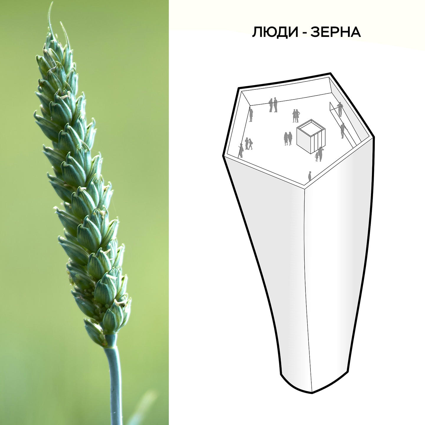 Смотрите, на какой монумент могут заменить "Родину-мать". Первые фото нового проекта