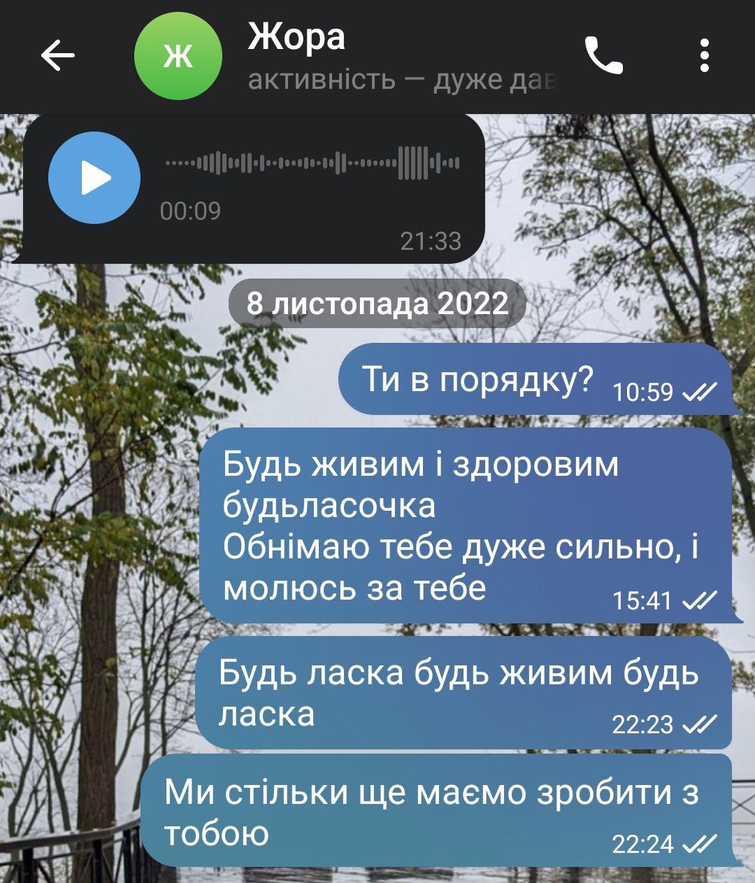 Вдовы украинских военных показывают последние переписки с любимыми: душераздирающие фото