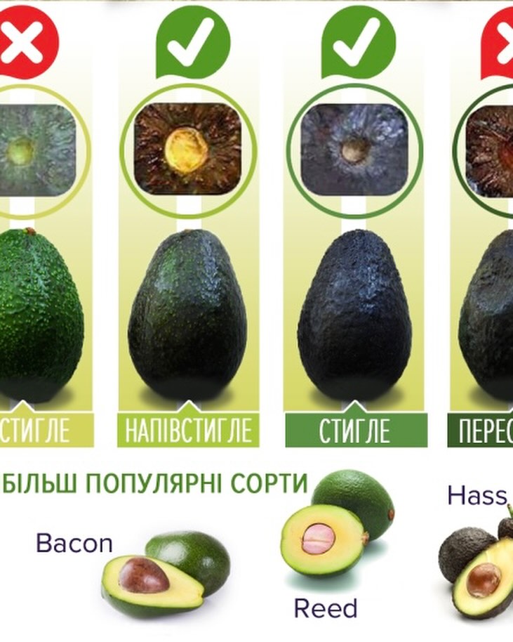 Быстро портятся: какие сорта авокадо не стоит покупать в Украине