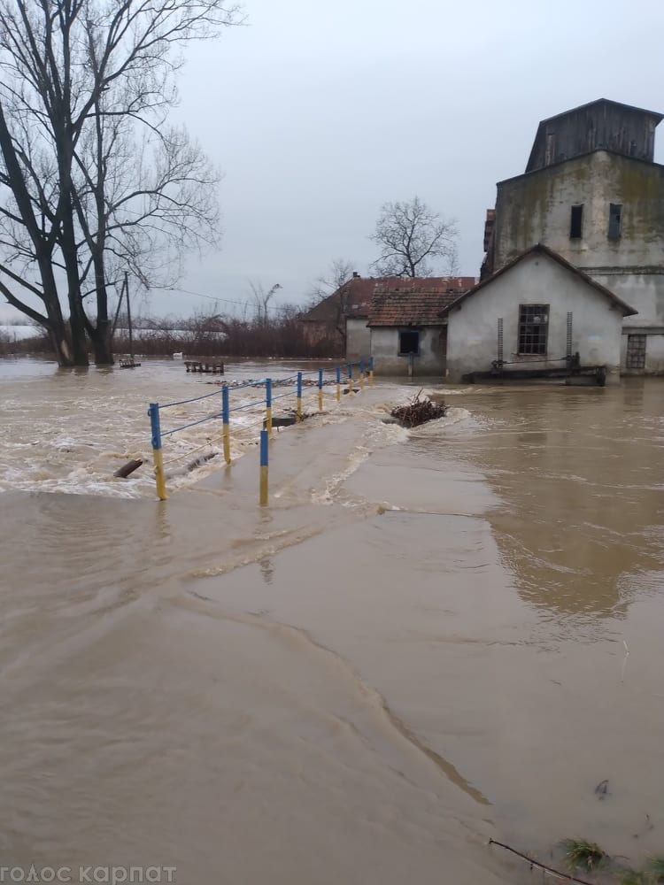 На Закарпатті затопило село, а річка Тиса підступає до Виноградова (відео, фото)