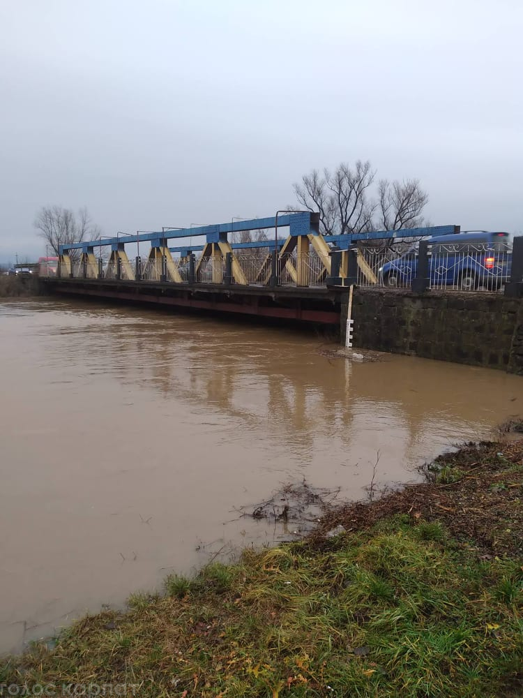 На Закарпатті затопило село, а річка Тиса підступає до Виноградова (відео, фото)